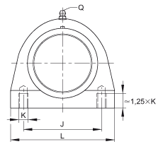 直立式轴承座单元 PSHE40-TV-FA125.5, 塑料轴承座，带偏心锁圈的外球面球轴承，带 Corrotect? 涂层，P型密封