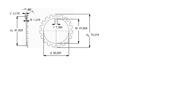 SKF W鎖緊墊圈, 英制尺寸W10樣本圖片