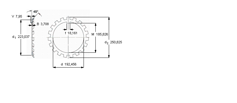 SKF W鎖緊墊圈, 英制尺寸W38樣本圖片