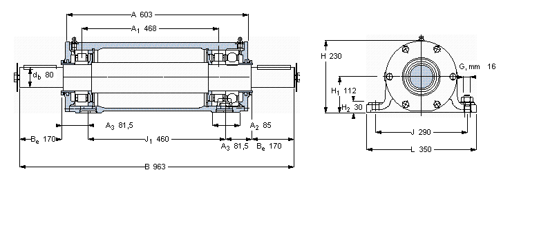 SKF 雙軸承單元, PDRJ單元PDRJ318樣本圖片
